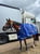Horse ad