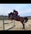 Horse ad