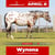 Horse ad