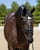 Annonce cheval