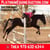 Horse ad