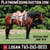 Horse ad