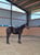 Horse ad