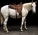 Horse ad