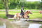 Horse ad