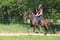 Annuncio cavallo