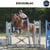 Horse ad