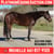 Horse ad