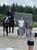 Horse ad