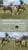 Paardadvertentie