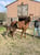Anuncio de caballos