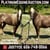 Annuncio cavallo