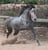 Horse ad