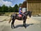 Annonce cheval