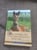 Pferdeinserat