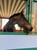 Horse ad