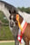 Horse ad