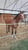 Horse ad
