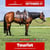 Annonce cheval