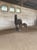 Annonce cheval