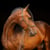 Annuncio cavallo