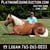 Horse ad