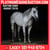 Horse ad