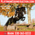 Horse ad
