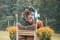 Horse ad
