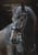 Horse ad