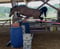 Horse ad