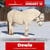 Horse ad