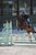 Annuncio cavallo
