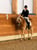Horse ad