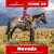 Horse ad