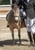 Horse ad