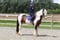 Horse ad