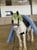 Horse ad