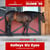 Annuncio cavallo