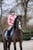 Horse ad