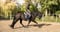 Annuncio cavallo
