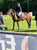 Horse ad