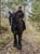 Annonce cheval