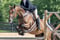 Horse ad