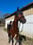 Annuncio cavallo