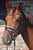 Horse ad