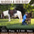Annuncio cavallo