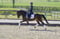 Annonce cheval
