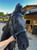 Horse ad