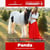 Horse ad